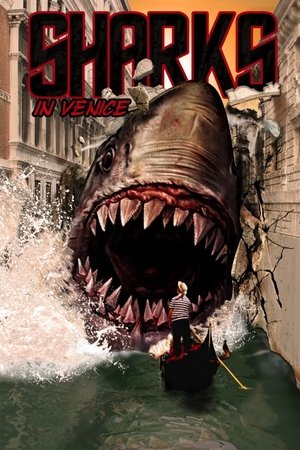 Watch Free Shark in Venice (2008)