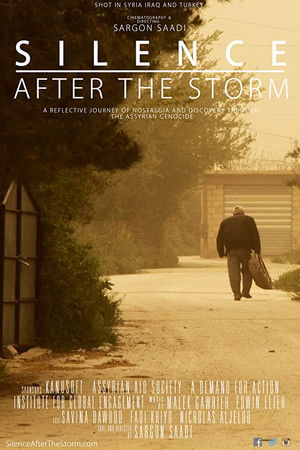 Watch Free Silence After the Storm (2016)