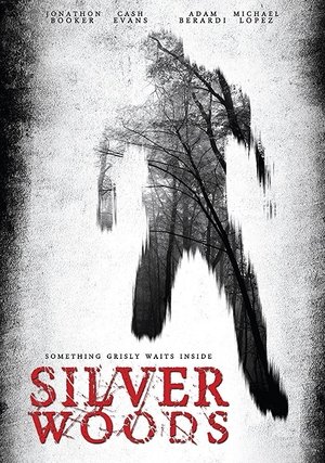 Watch Free Silver Woods (2017)