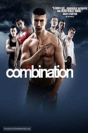 Watch Free The Combination (2009)