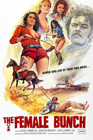 Watch Free The Female Bunch (1971)