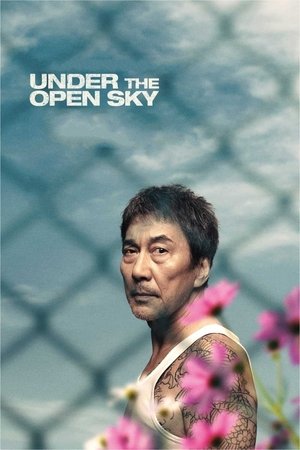 Watch Free Under the Open Sky (2020)
