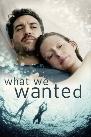 Watch Free What We Wanted (2020)