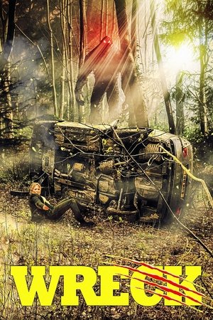 Watch Free Wreck (2020)