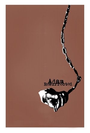 Watch Free Adam Resurrected (2008)