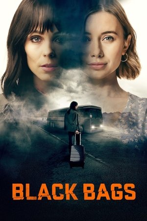 Watch Free Black Bags (2023)