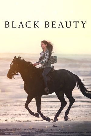 Watch Free Black Beauty (2020)