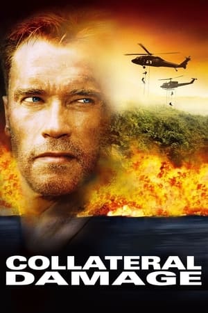 Watch Free Collateral Damage (2002)