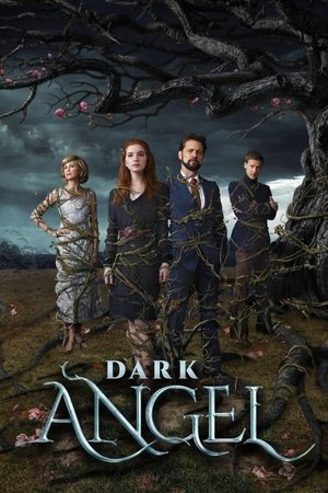 Watch Free Dark Angel (2019)