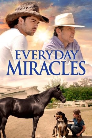 Watch Free Everyday Miracles (2015)