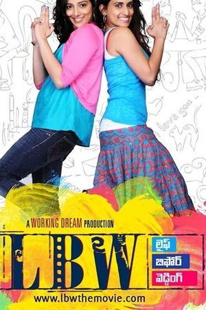 Watch Free Life Before Wedding (2010)
