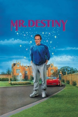 Watch Free Mr. Destiny (1990)