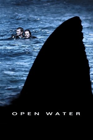 Watch Free Open Water (2003)