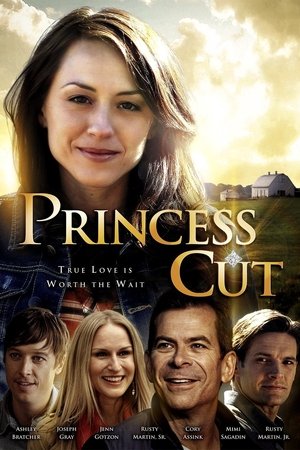 Watch Free Princess Cut (2015)