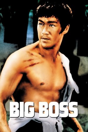 Watch Free The Big Boss (1971) Bruce Lee