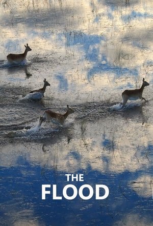 Watch Free The Flood (2018)