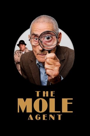 Watch Free El Agente Topo (2020)