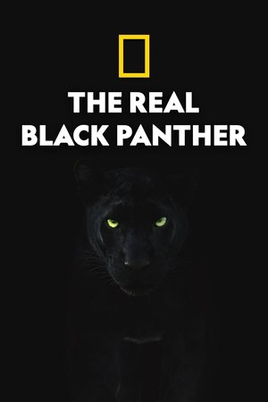 Watch Free The Real Black Panther (2020)