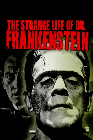 Watch Free The Strange Life of Dr. Frankenstein (2018)