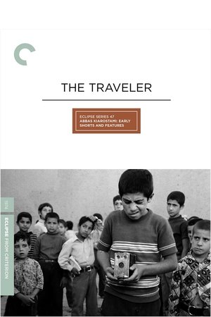 Watch Free The Traveler (1974)