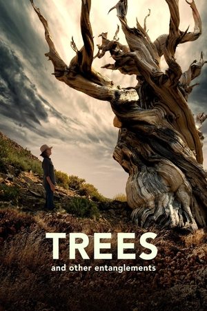 Watch Free Trees, and Other Entanglements (2023)