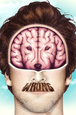 Watch Free Wrong (2012)