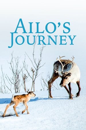 Watch Free Ailo: Une odyssée en Laponie (2018)