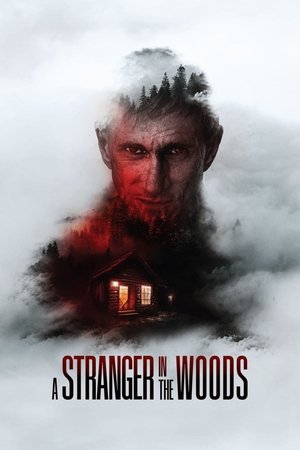 Watch Free A Stranger in the Woods (2024)