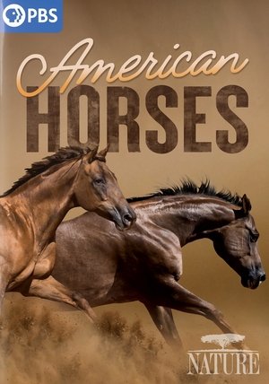 Watch Free American Horses (2022)