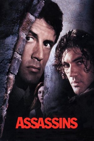 Watch Free Assassins (1995)