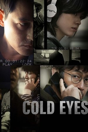 Watch Free Cold Eyes (2013)