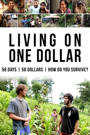 Watch Free Living on One Dollar (2013)