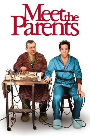 Watch Free Meet the Parents (2000)
