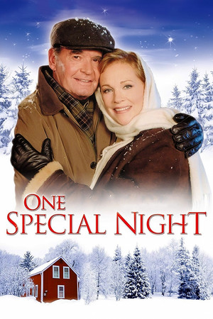 Watch Free One Special Night (1999)