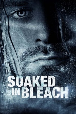 Watch Free Soaked in Bleach (2015)