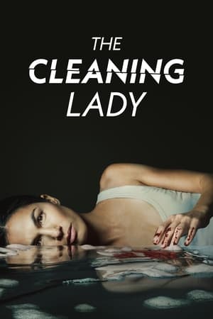 Watch Free The Cleaning Lady (2021-)
