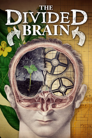 Watch Free The Divided Brain (2019)