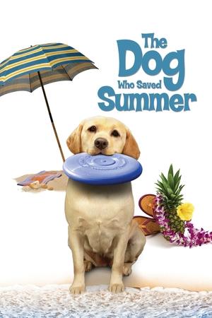 Watch Free The Dog Who Saved Summer (2015)