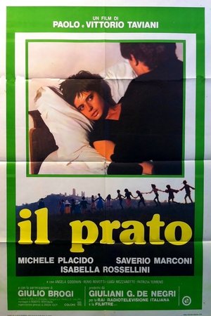Watch Free Il prato (1979)