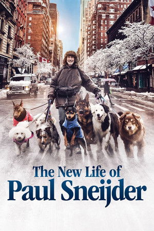 Watch Free The New Life of Paul Sneijder (2016)