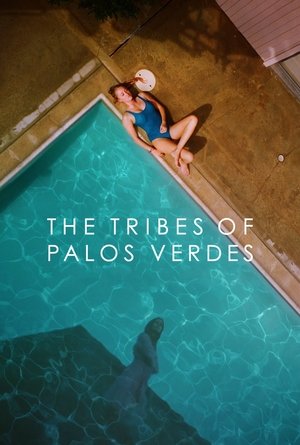 Watch Free The Tribes of Palos Verdes (2017)