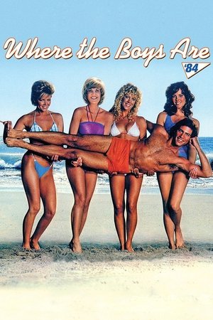 Watch Free Where the Boys Are (1984)