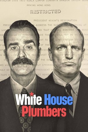 Watch Free White House Plumbers (2023)
