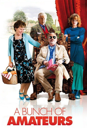 Watch Free A Bunch of Amateurs (2008)