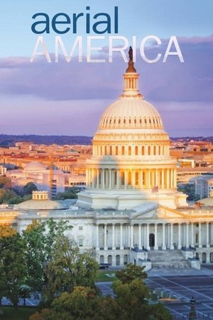 Watch Free Aerial America (2010 )