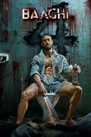 Watch Free Baaghi 4 (2025)
