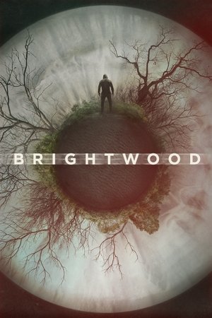 Watch Free Brightwood (2022)