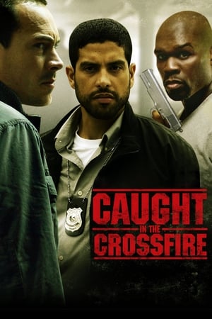 Watch Free Caught in the Crossfire (2010)
