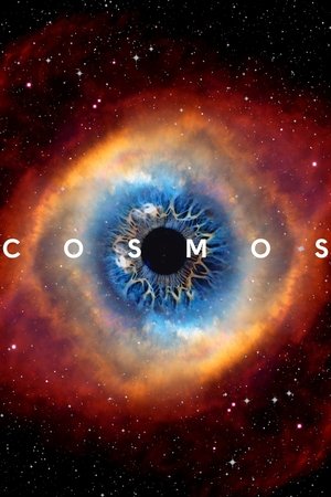 Watch Free Cosmos: A Spacetime Odyssey (2014)