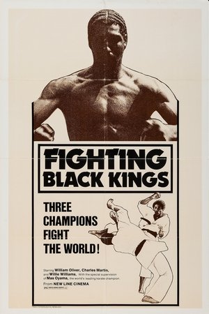 Watch Free Fighting Black Kings (1976)